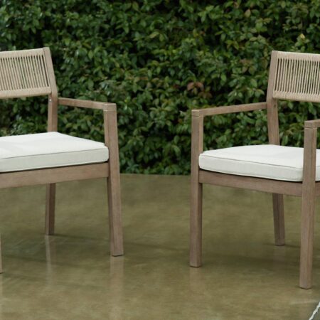 Aria Plains Arm Chair with Cushion (Set of 2) image